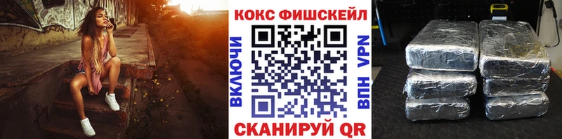 Купить закладки  Нелидово  Cocaine Fish Scale 